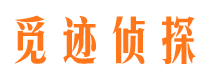 汶上市调查公司